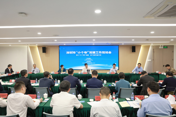 果冻传媒
“小个专”党建工作现场会举行 齐抓共管推动“小个专”党建提质增效.jpg